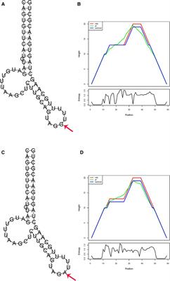 Impact of microRNA polymorphisms on high-dose methotrexate-related hematological toxicities in pediatric acute lymphoblastic leukemia
